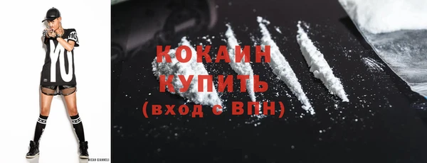 дживик Аркадак