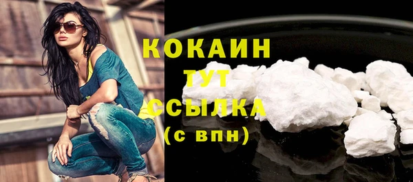 дживик Аркадак